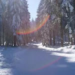 Daire Near Rennsteig