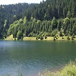 Daire Near Rennsteig