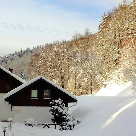 With Forest In Thuringia * Goldisthal