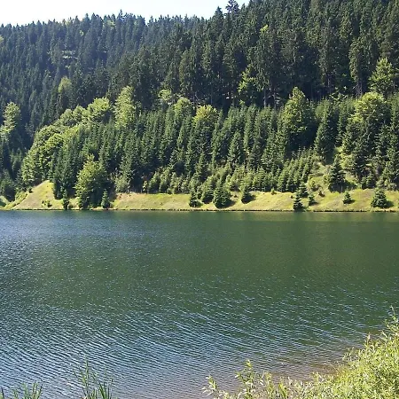 Apartment With Forest In Thuringia Goldisthal