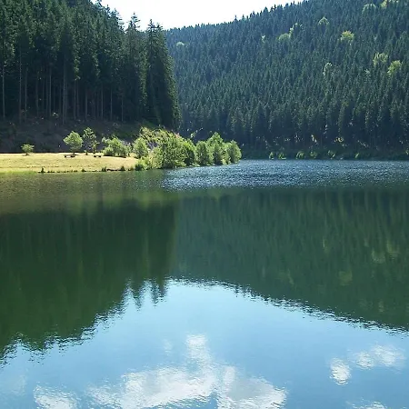 With Forest In Thuringia Apartment Goldisthal