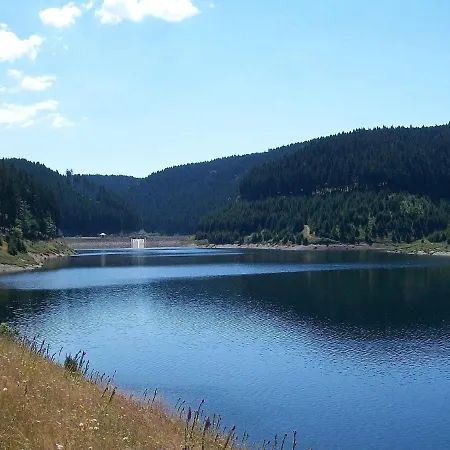 Apartment With Forest In Thuringia Goldisthal
