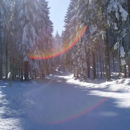 Apartment With Forest In Thuringia Goldisthal