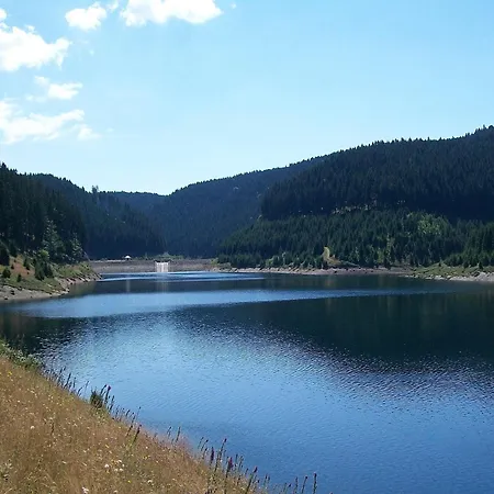 Apartmán Near Rennsteig *