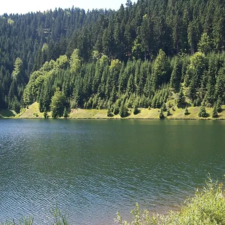 Apartmán Near Rennsteig
