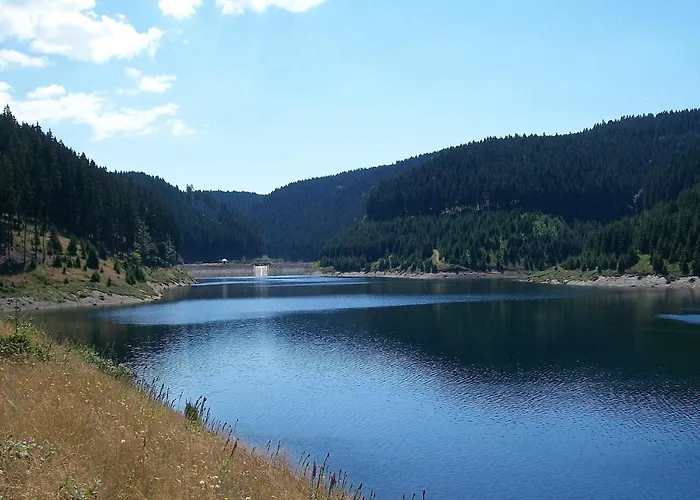 Daire Near Rennsteig *